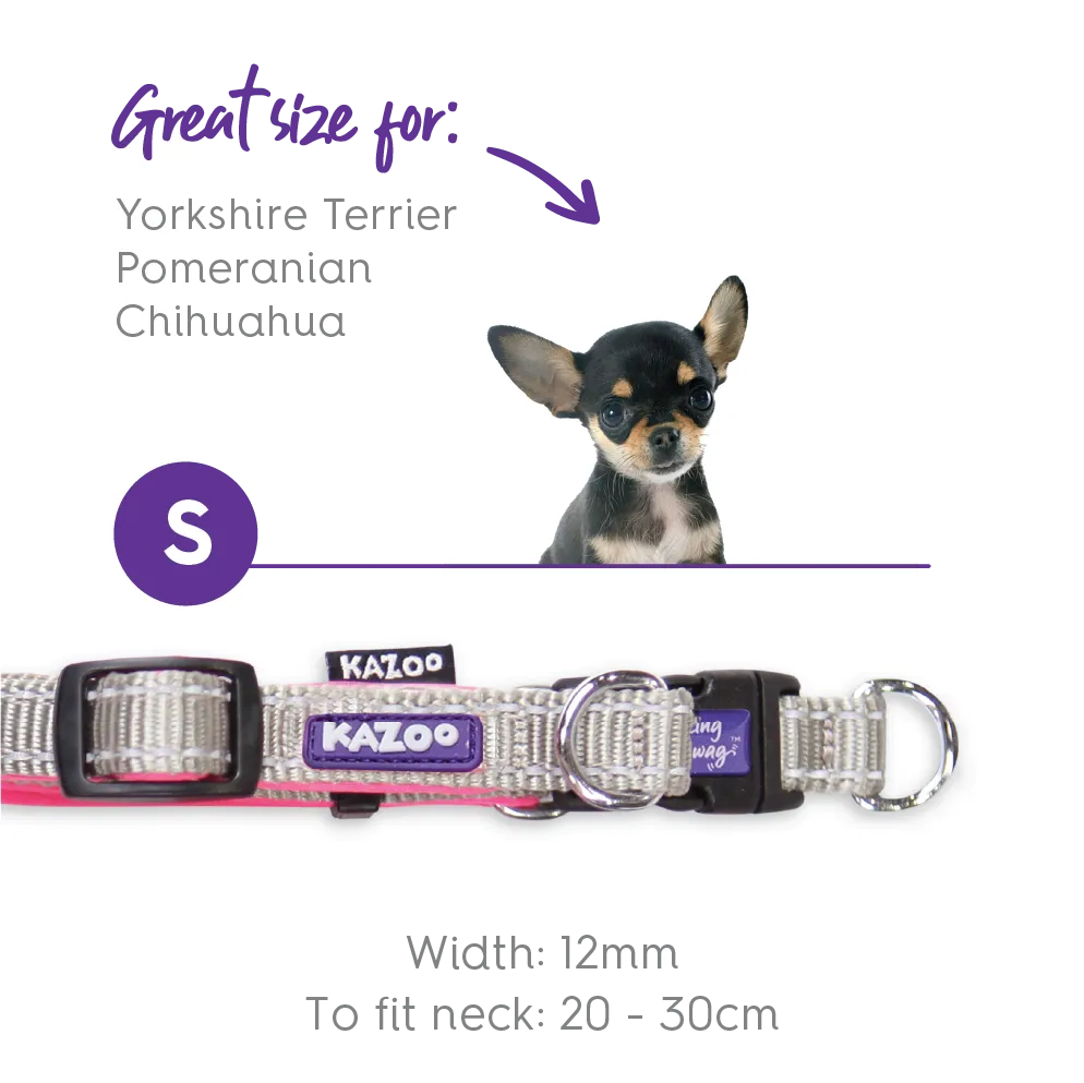 Active Easy-clip Dog Collar - Silver & Pink