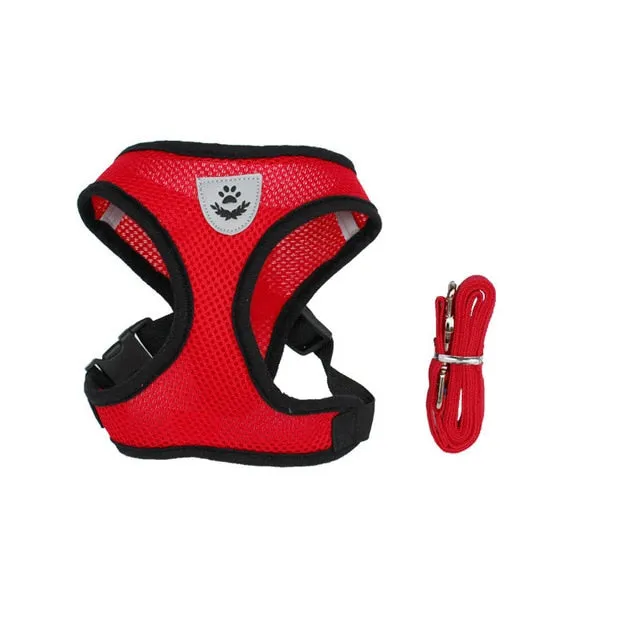 Adjustable Harness for Cats (No-Pull)